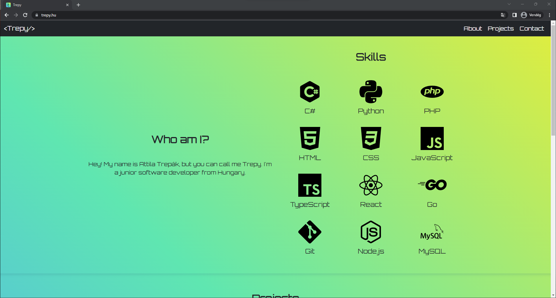 Portfolio website